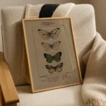 Butterfly Effect