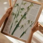 Bamboo Trees